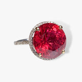 14k White Gold Round Rubellite Diamond Halo Ring Side View