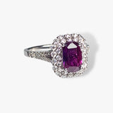 18k White Gold Elongated Cushion Ruby Diamond Double Halo Ring Side View